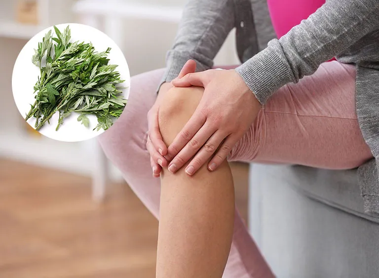 Các bài thuốc dân gian chữa đau xương khớp hiệu quả