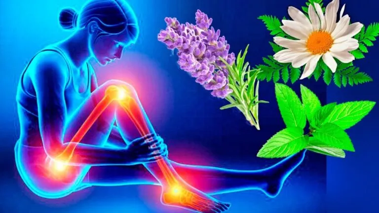 Những lưu ý quan trọng khi sử dụng bài thuốc dân gian